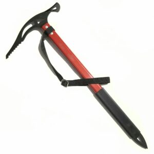 کلنگ بیسیکال آریا